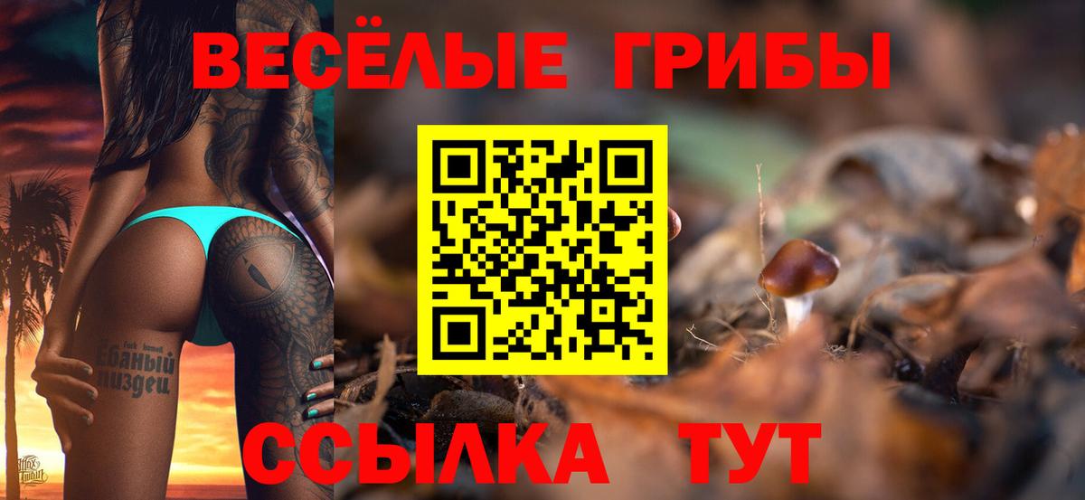 Галлюциногенные грибы Psilocybine cubensis  что такое   Обь  Галлюциногенные грибы прущие грибы  Вход с VPN 