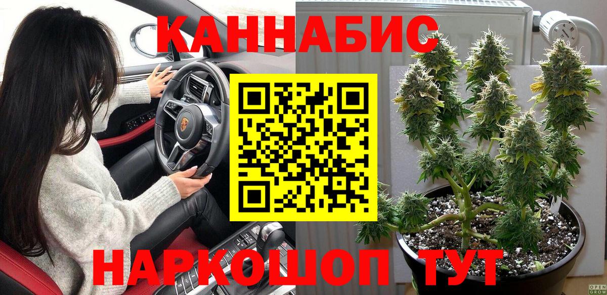 Конопля гибрид Обь